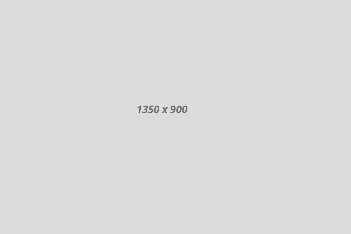portfolio5-1